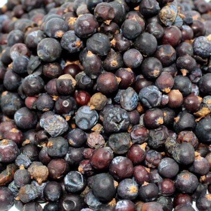 A small pile of organic juniper berries sit on a crisp white background.