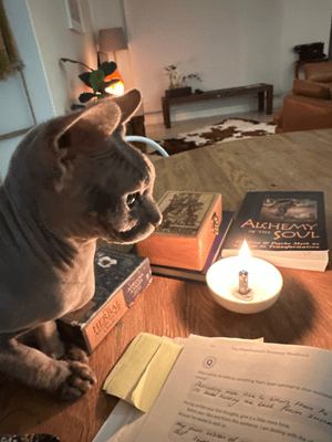 A Sphynx cat sits beside a candlelit table with spiritual books, including 'Alchemy of the Soul' and oracle decks. Handwritten notes rest on the table in a softly lit, cozy living room setting.