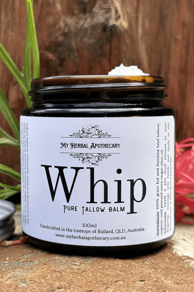 Tallow Australia, a jar of whipped tallow balm sits on a rock with a timber background and Australia native grevillea in behind.