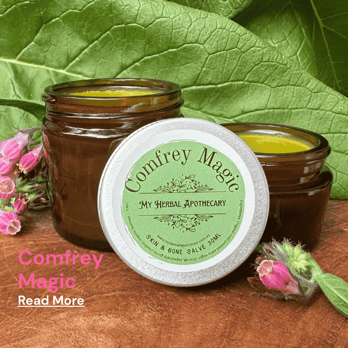 Comfrey Magic Skin & Bone Salve jar by My Herbal Apothecary placed among fresh comfrey leaves and flowers with text “Comfrey Magic – Read More”