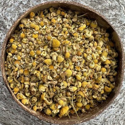 Organic dried chamomile blossoms in a bowl